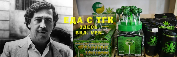крисы Белокуриха