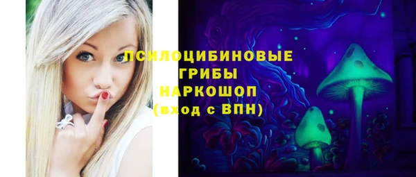 крисы Белокуриха