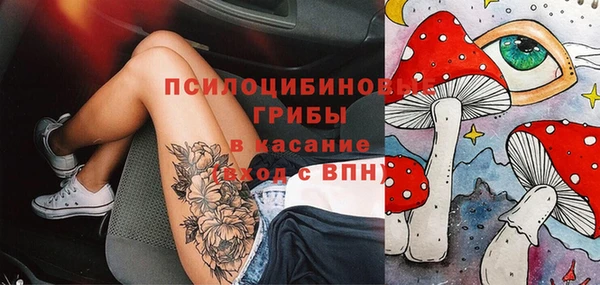 крисы Белокуриха