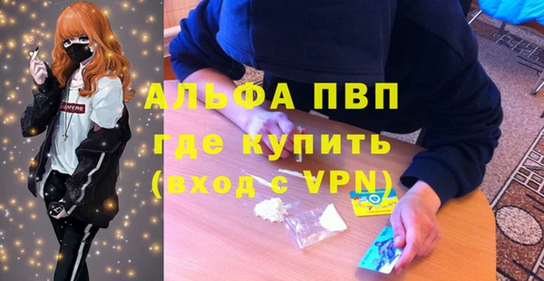 крисы Белокуриха